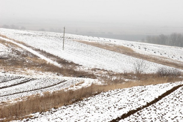 Frosty fields in Ukraine. Photo: Patrik Rastenberger
