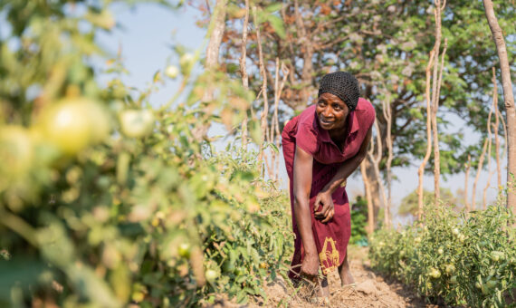 BGFA - Zambia - Female farmer